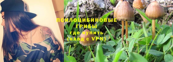 мяу мяу мука Алексин